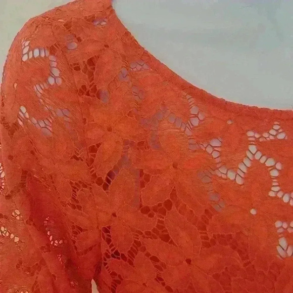 Laundry by Shelli Segal Size 4 Orange Lace Overlay Dress - Picture 12 of 16